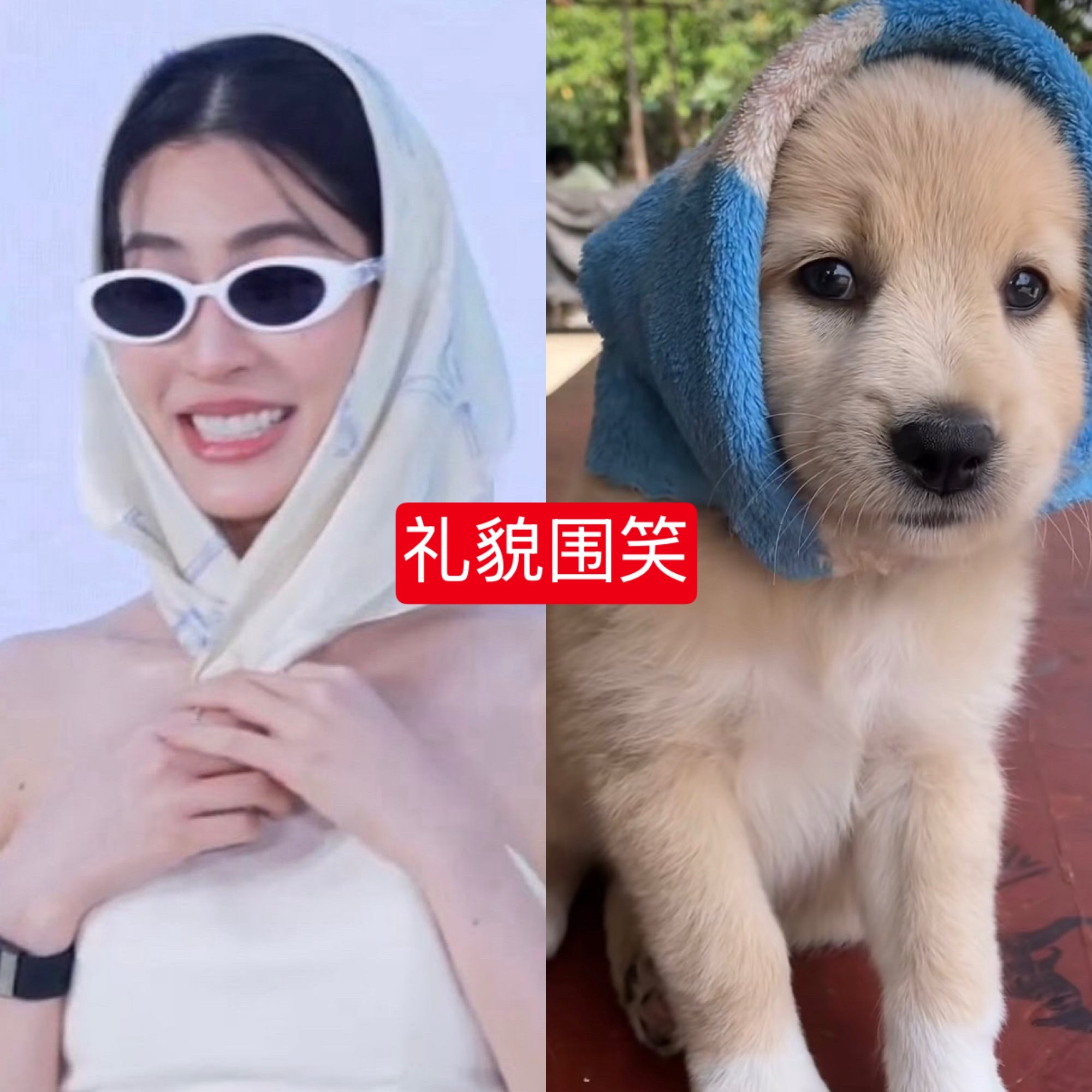 看了一眼脆，aw开个快闪而已，一些酸🐓“骡子”搁这又唱又跳，又抵制、捧一踩一上