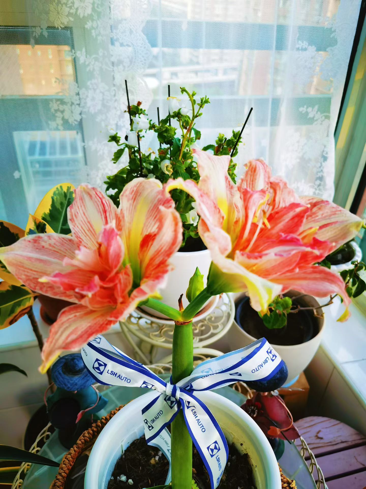 早安 🔆ʍօʀռɨռɢ~ 早安🌞人生充满无限期待，梦想连接着璀璨未来。允许一