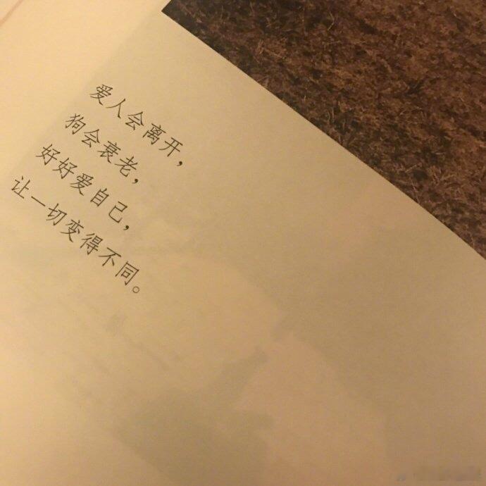 爱人会离开，狗会衰老，好好爱自己，让一切变得不同。生活手记