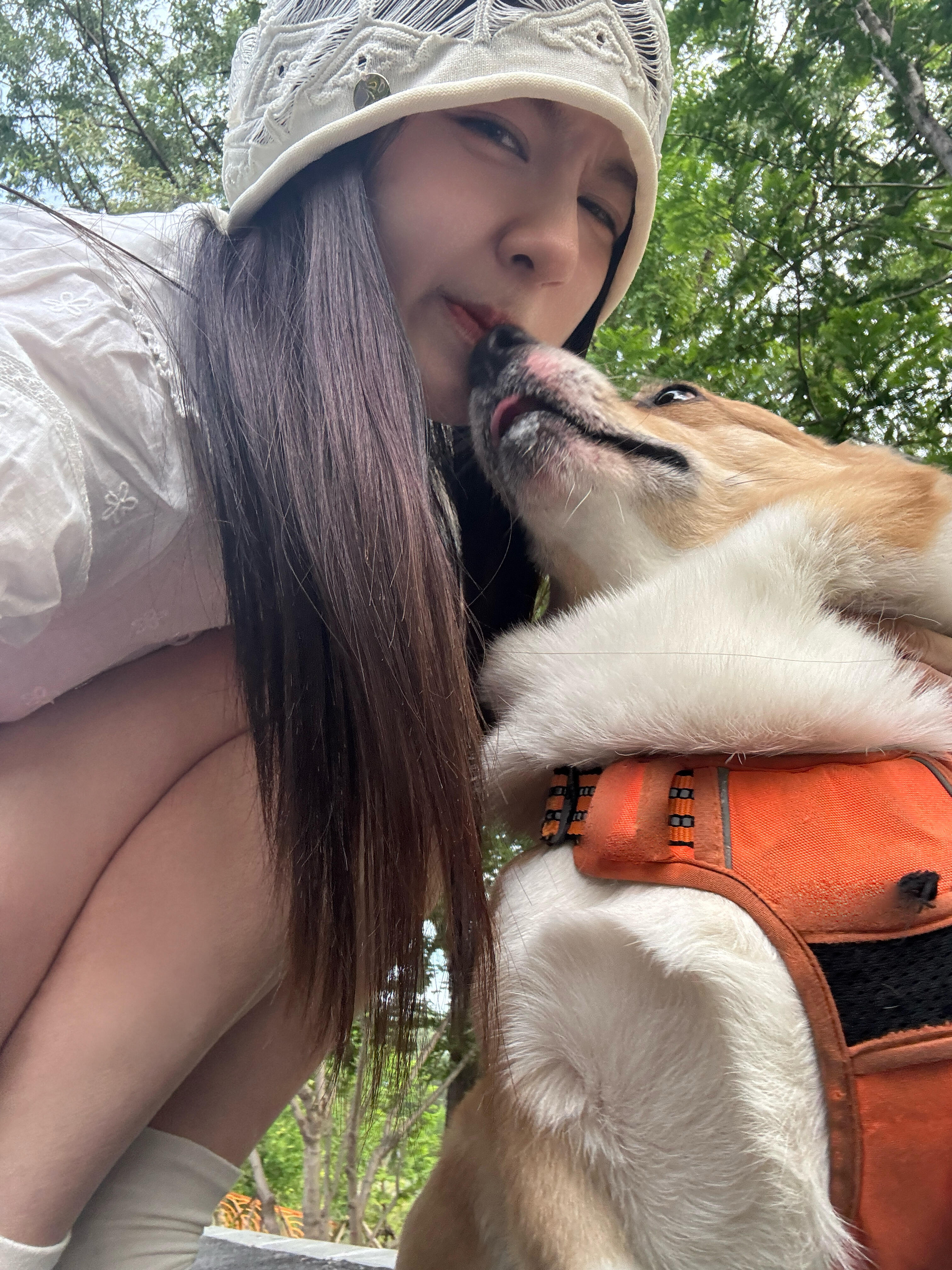许久未见的康康来了图里有两只萌物 （李兰迪依旧宠红薯妹 