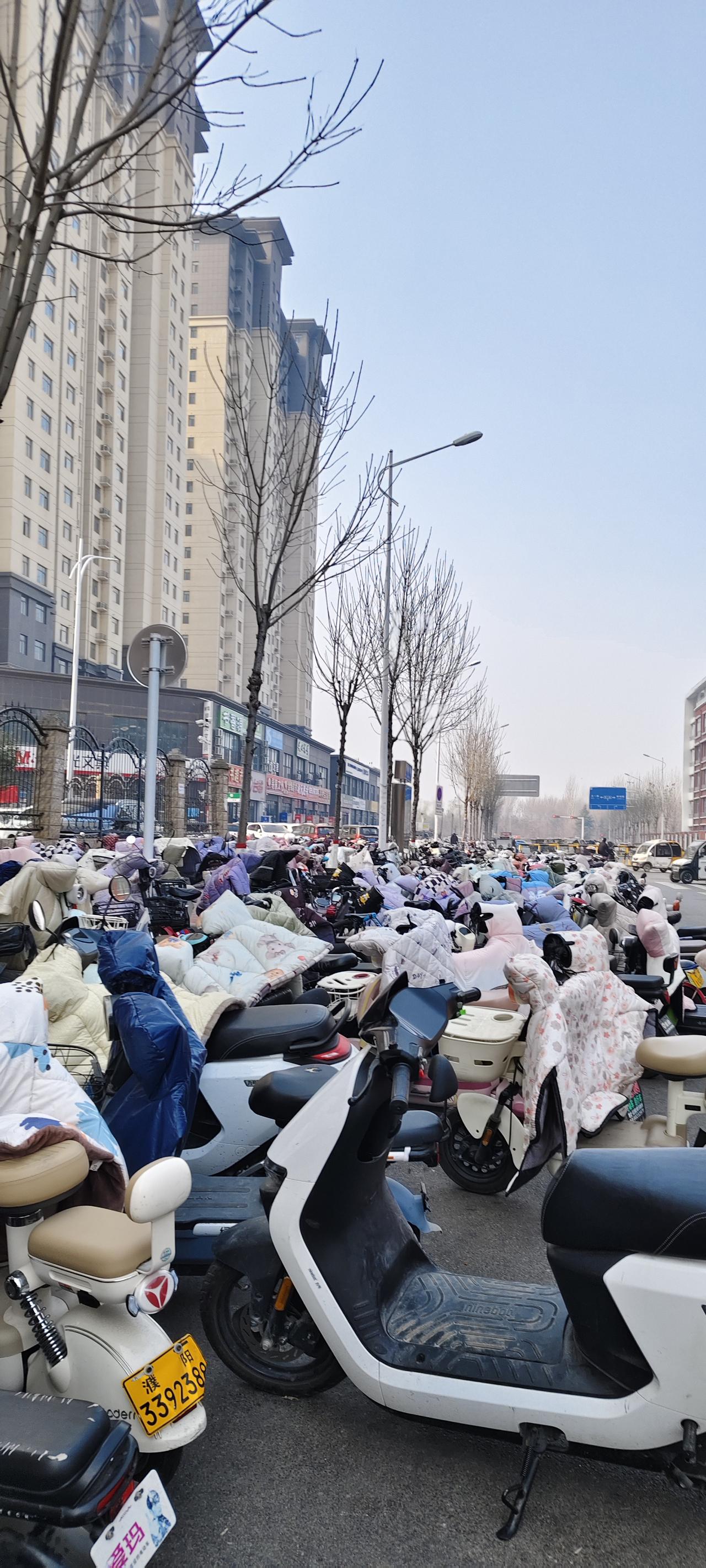 冬日的街头，一排排高层住宅楼立在道路一侧，光秃秃的树枝伸向淡蓝色的天空，少了几分