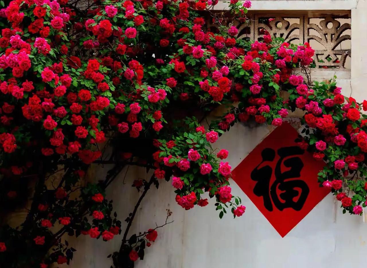 七律·立夏
春残绿满麦花开，
立夏知时伴雨来。
点豆种瓜农辛苦，
衔泥拂水燕低徊