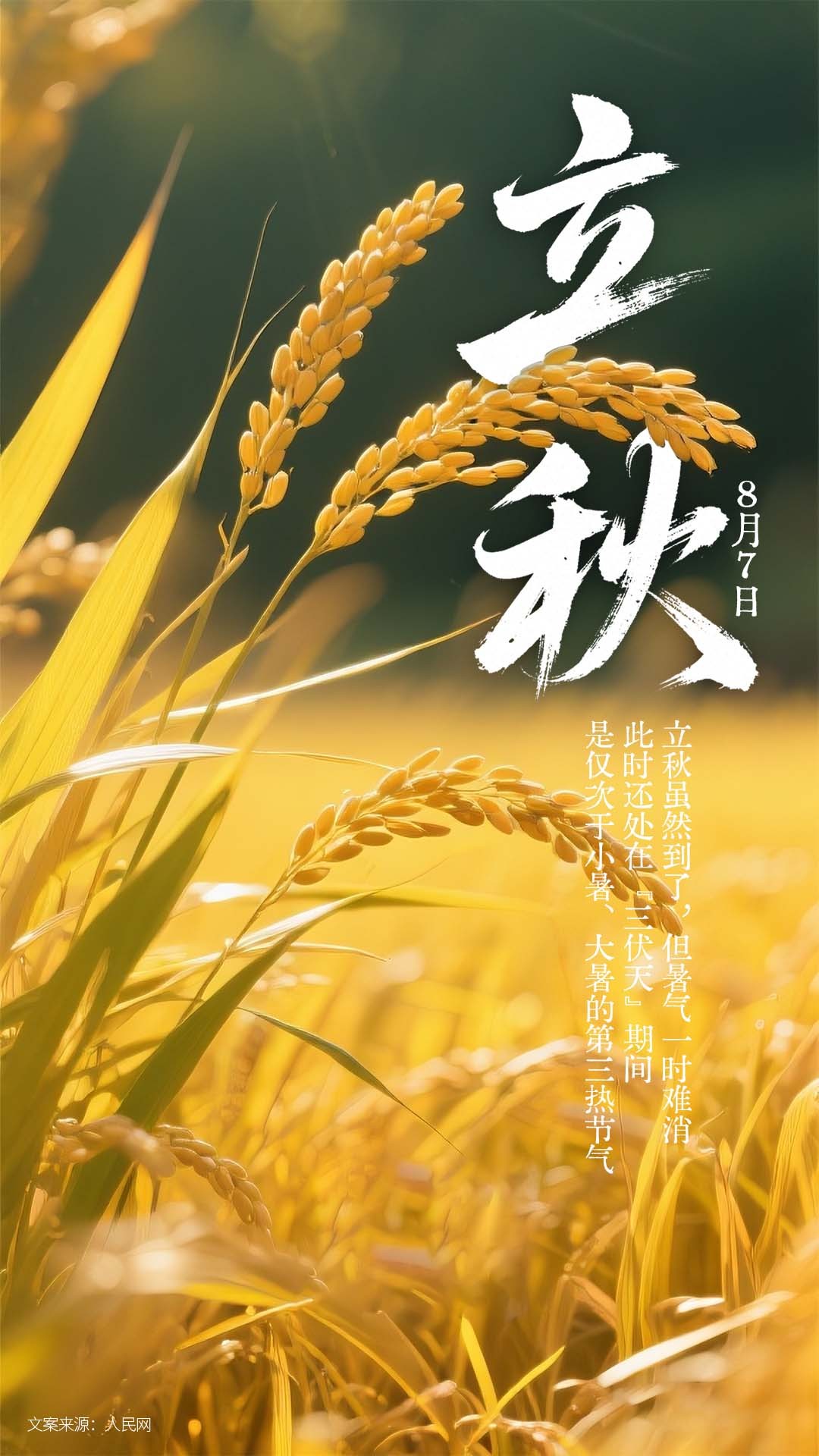 【#肥都没有减完就要贴秋膘# ​】8月7日迎来立秋节气。节气中的立秋，仍在伏天，