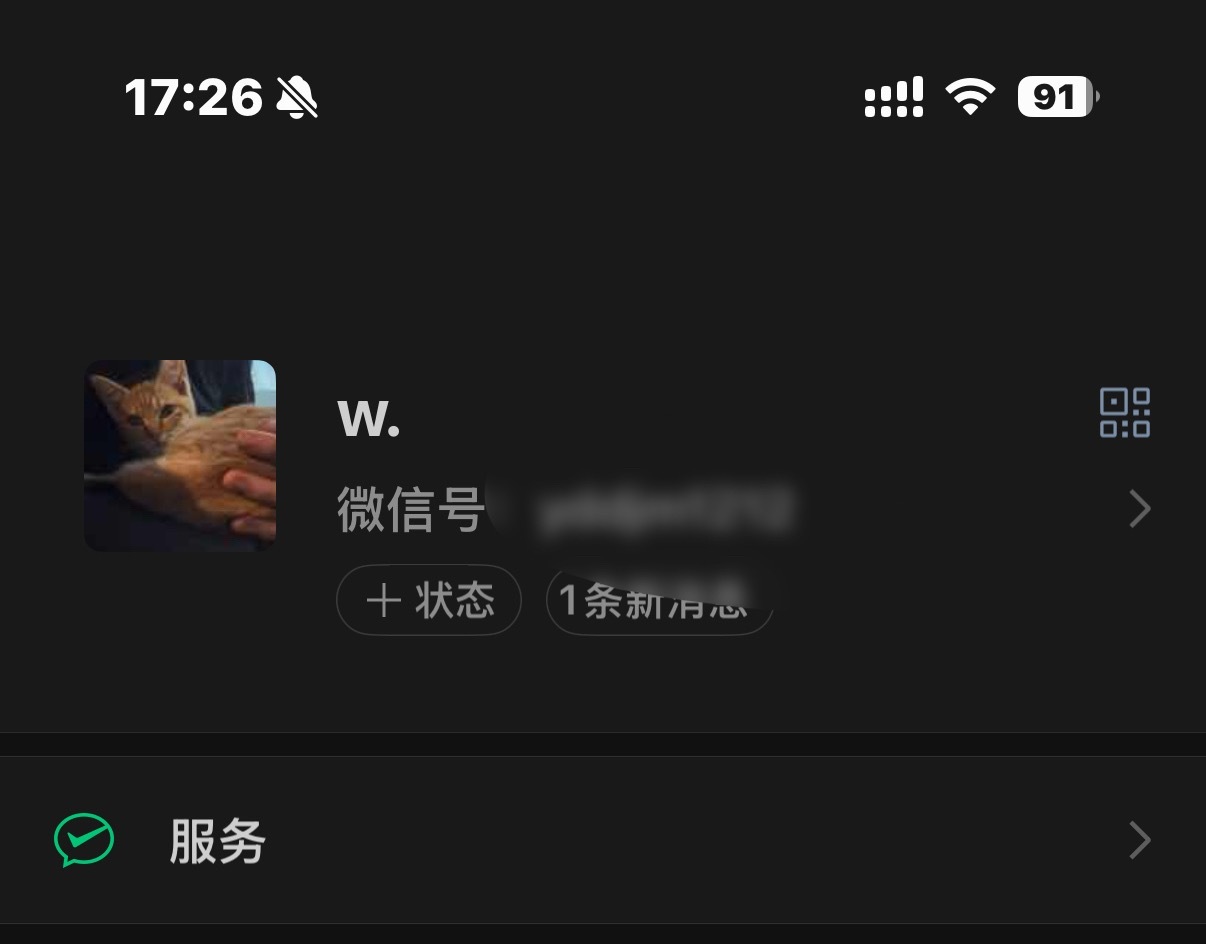 严肃更换 