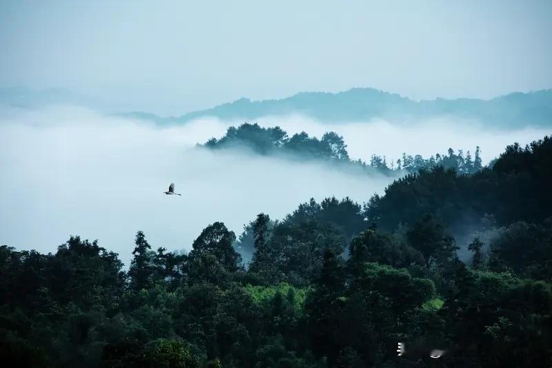 看到“江平浪细起渔歌”，我琢磨着对个上联。从对仗和意境上想，“江平浪细”描述了江