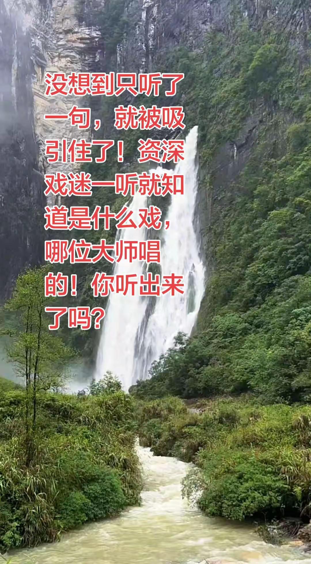 没想到只听了一句就被吸引住了！这段唱只要是资深戏迷一听就知道是什么戏，哪位大师唱