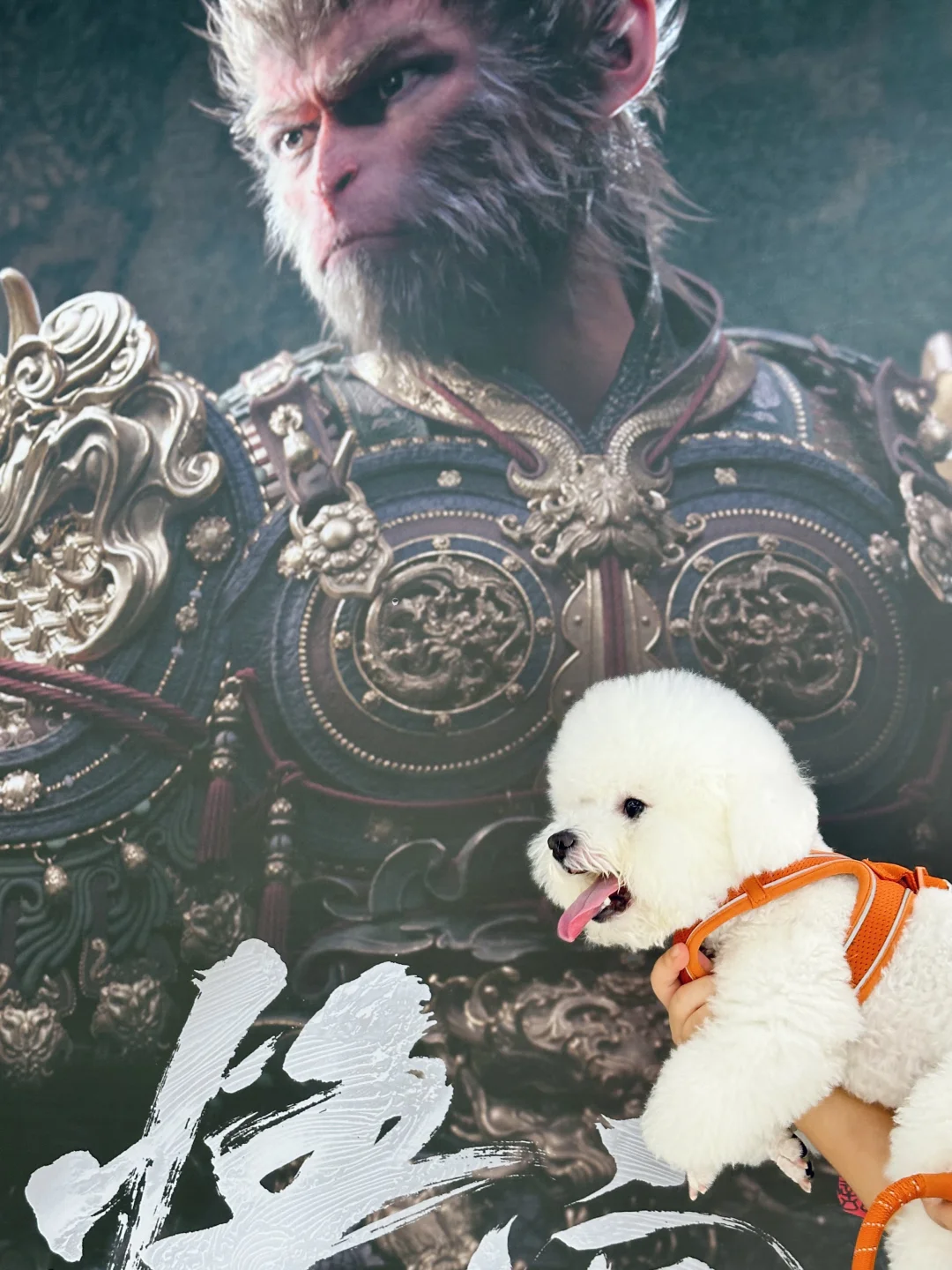 当黑神话悟空遇上白熊精