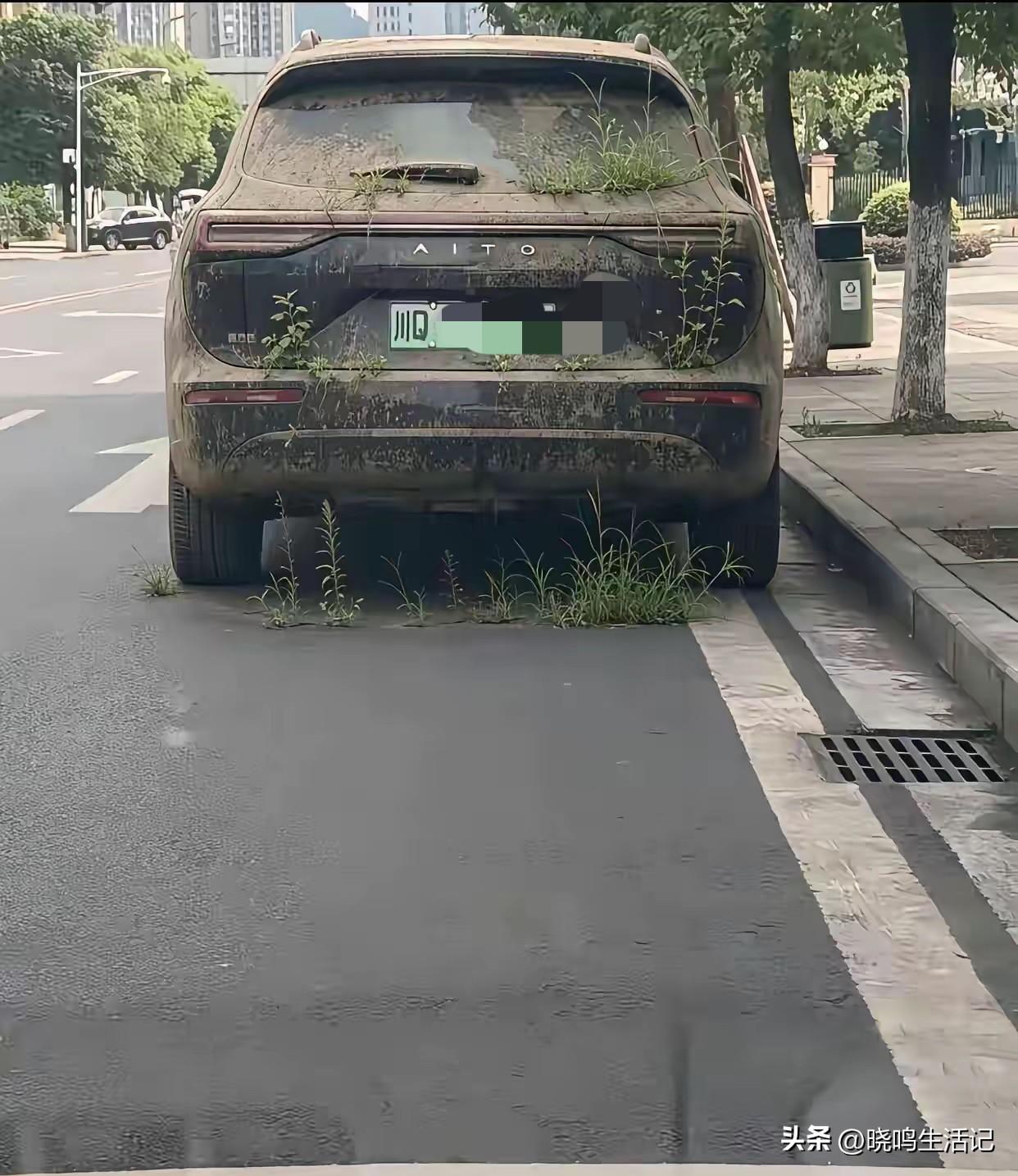 看样子，得半年没动了吧？