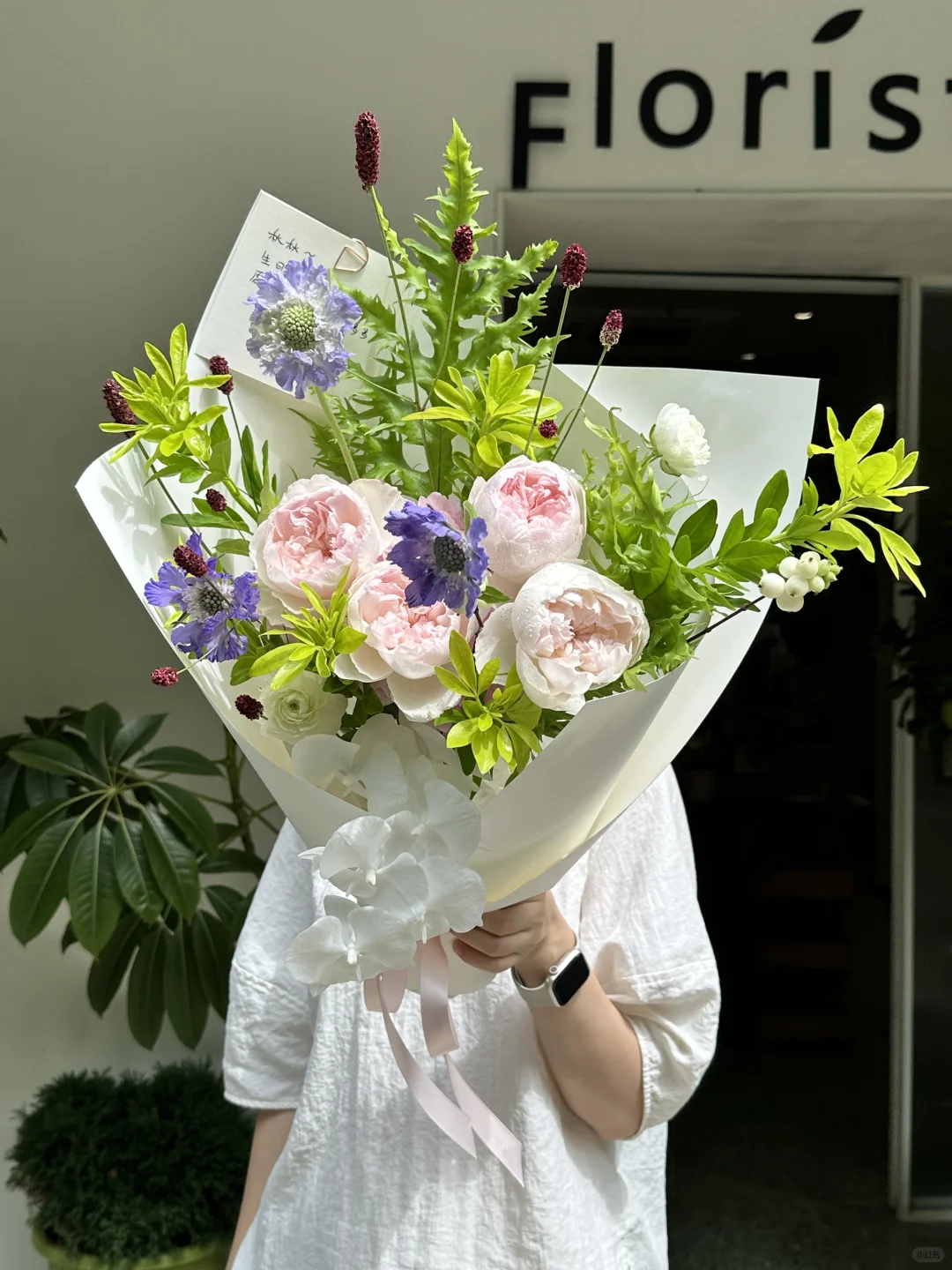 又被可爱瓷的美貌迷倒了💫🍃