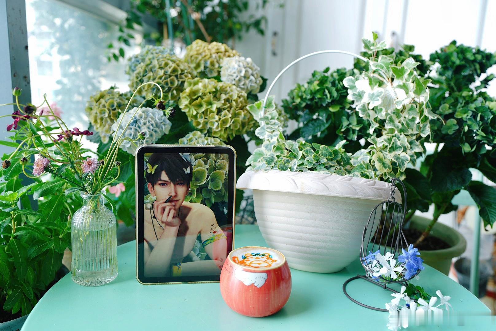 早ᜊ(♡ ¯꒳¯ )ᜊ今天把雪莹摆出来，因为昨天它的位置被蝴蝶兰占了，我得给它找