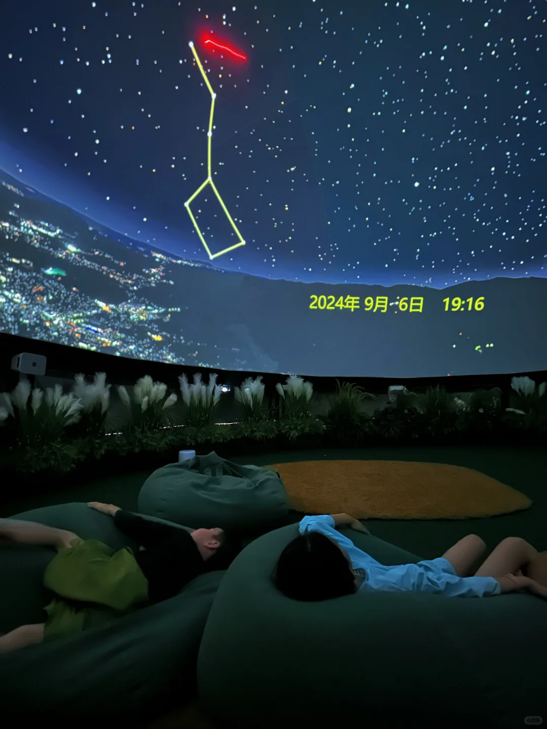 遛娃staycation｜真不在三亚！！在上海！！