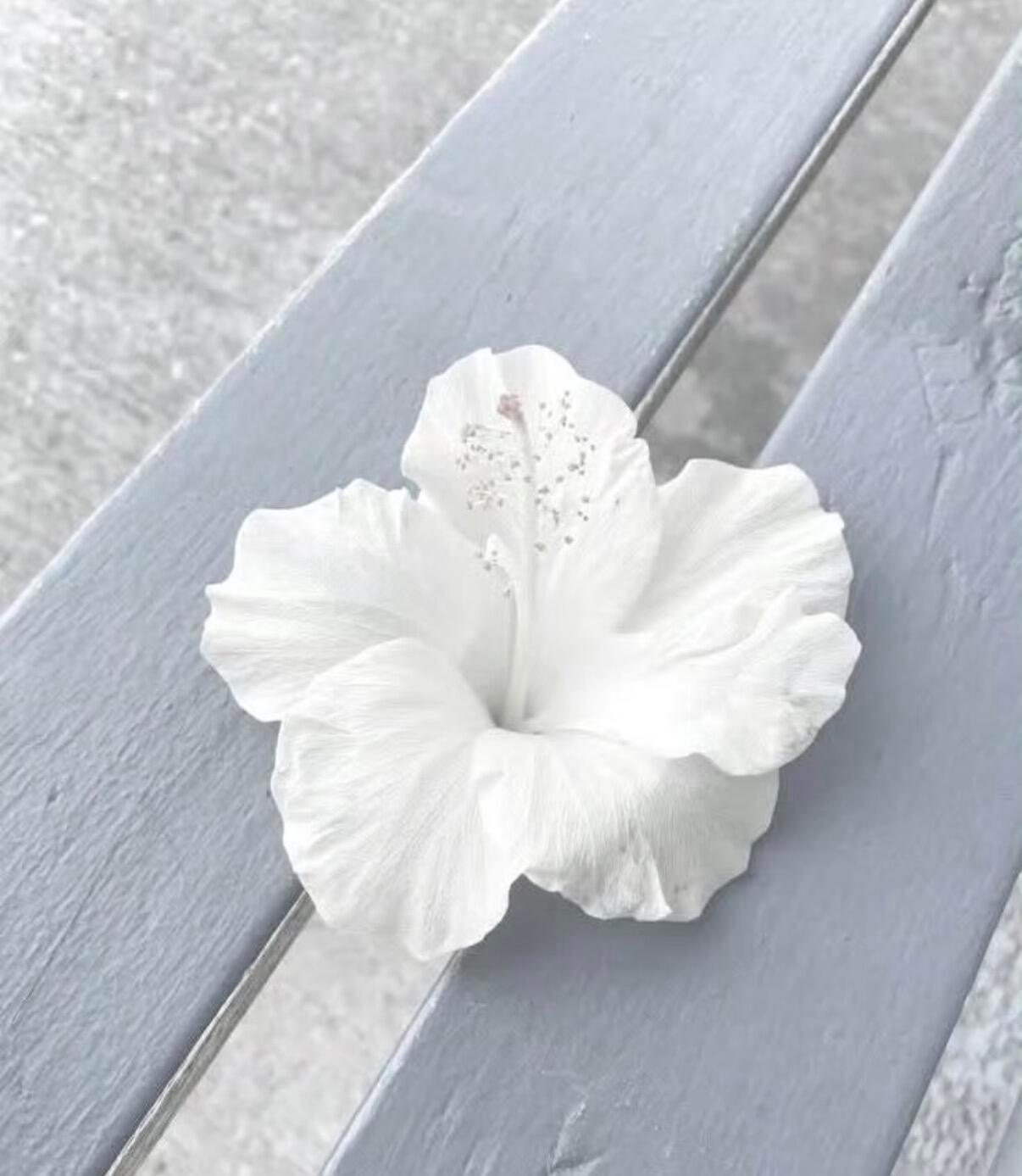 【背景图】分享˚₊✯͡ 🜚 *·. 蓝色|白色|精致|文艺|蕾丝|手账|蝴蝶结