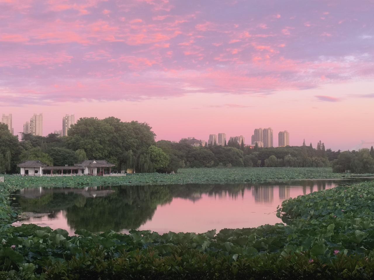 一早的龙湖公园好美。