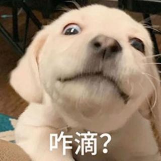 力挺妙姐！