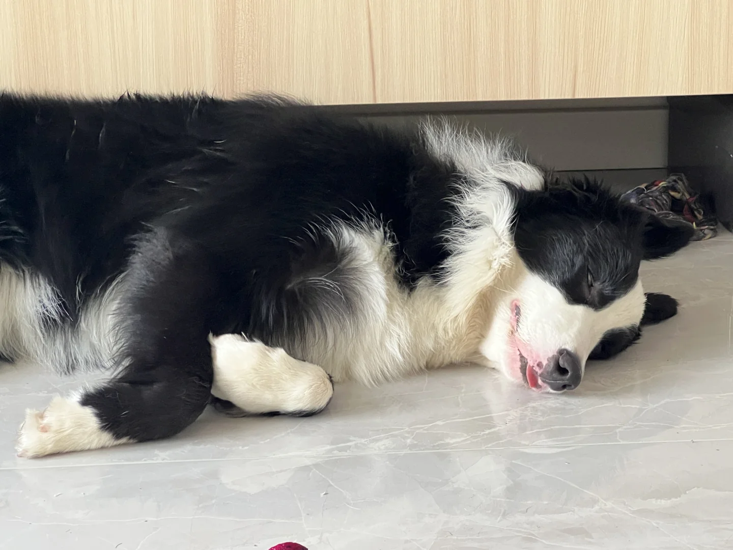 这下是真把自己玩累了