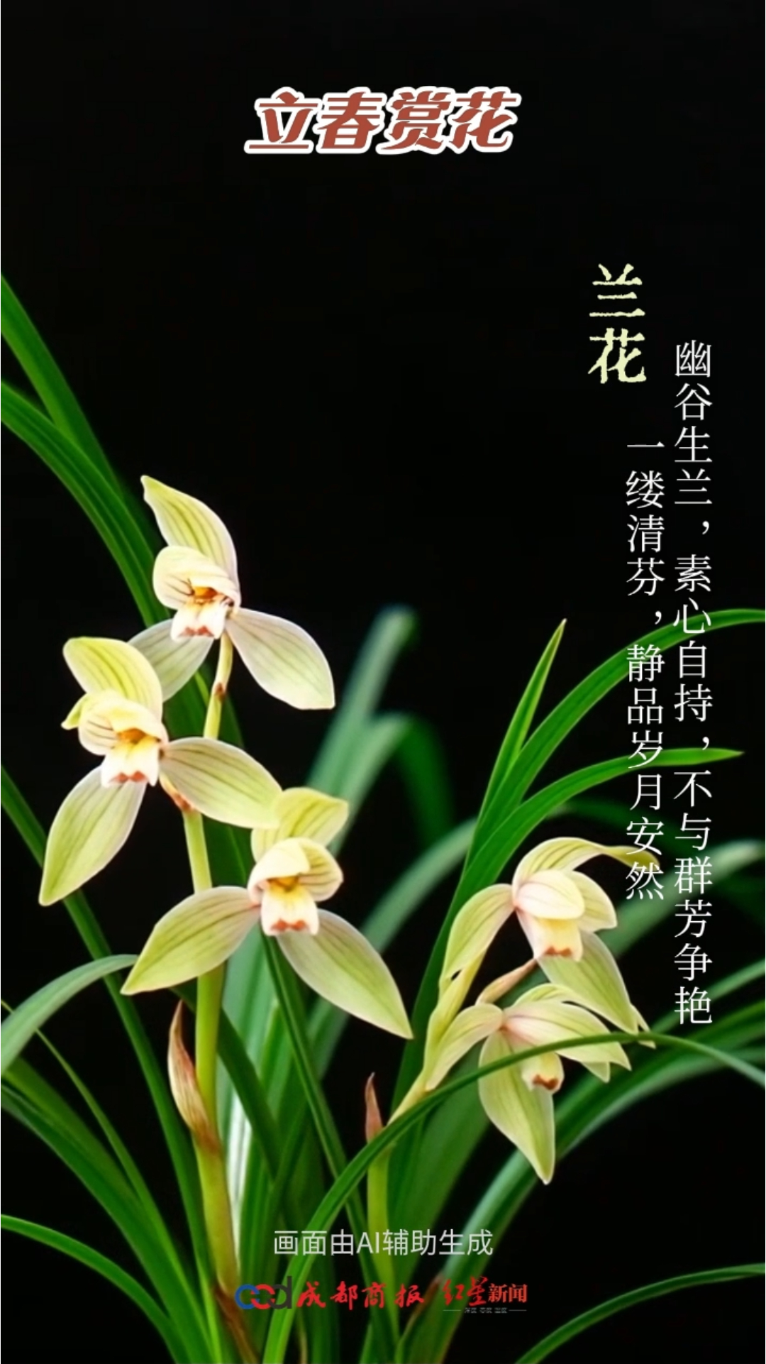 #属相按春节换还是立春换#【分享！#从花中感受立春之美#】立春，二十四节气之首，