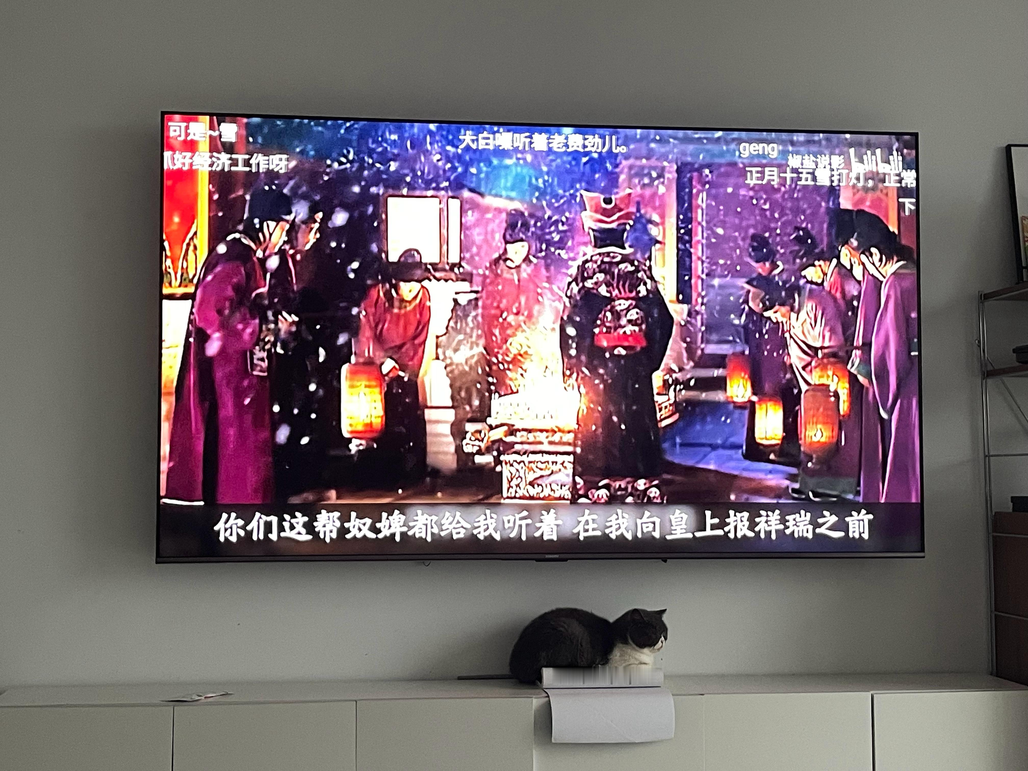 光猫 