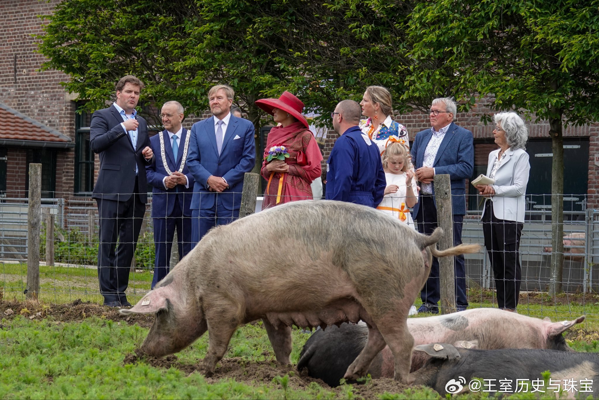 新闻 2026.5.19 荷兰国王夫妇对中林堡地区展开访问，分别接见当地的音乐协