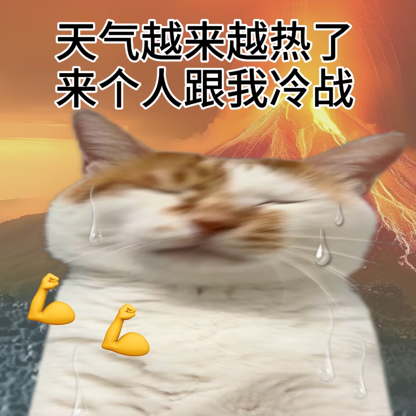 地球online怎么又要升温了最近热热热，感觉要热化了……体感温度很高啊！看新闻