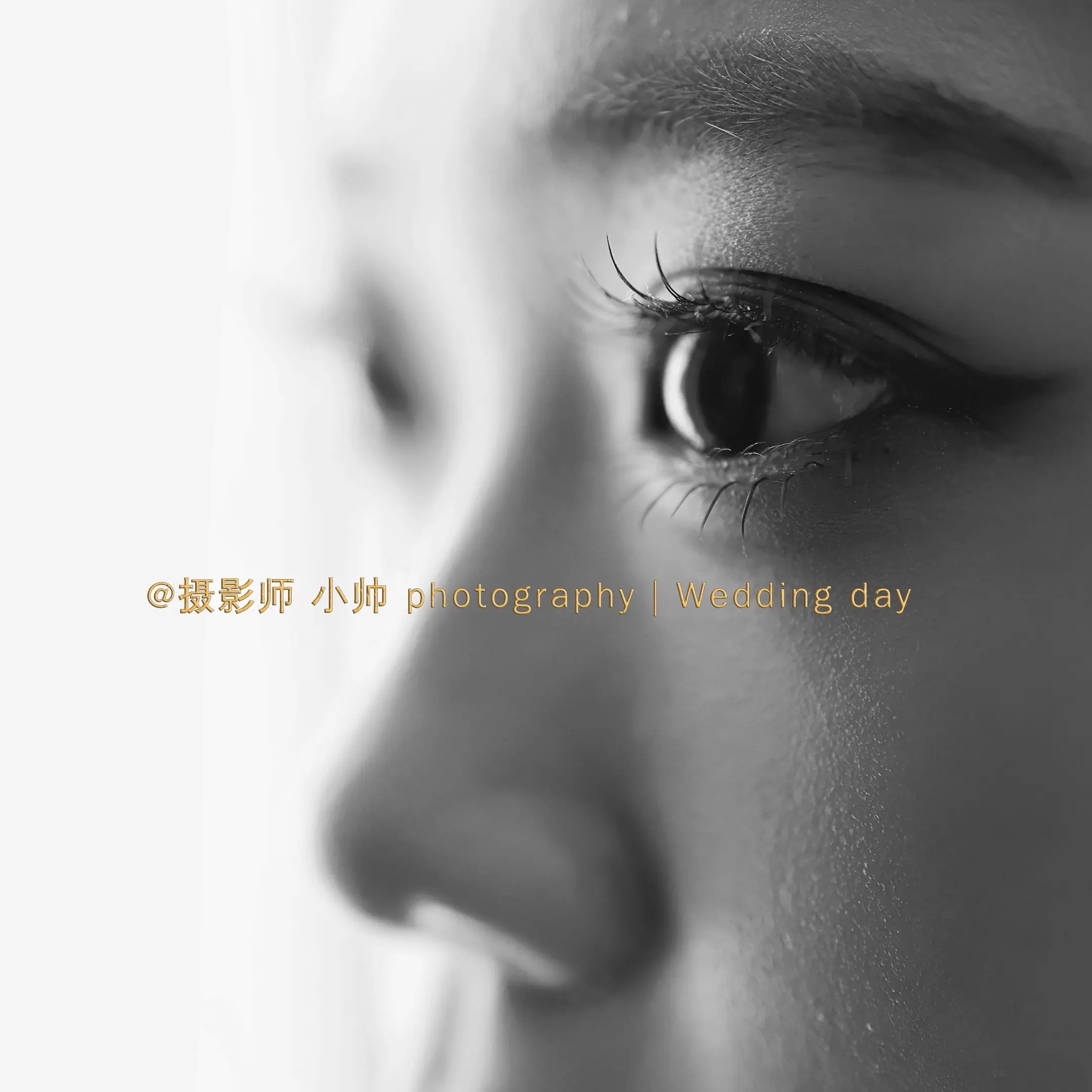 也许对你的记忆就是爱情本身。