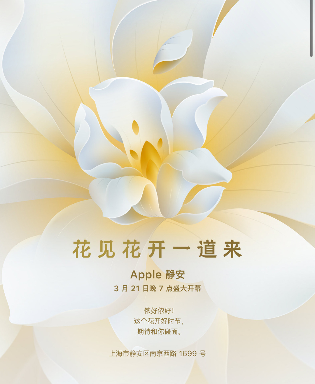 苹果在上海的第八家直营店也是目前国内规格最高的苹果旗舰店Apple静安（上海市静