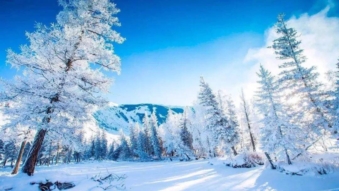 阿勒泰文旅局回应新式跳雪 阿勒泰很美丽，阿勒泰的雪景更美丽。“玩雪”是许多成年人