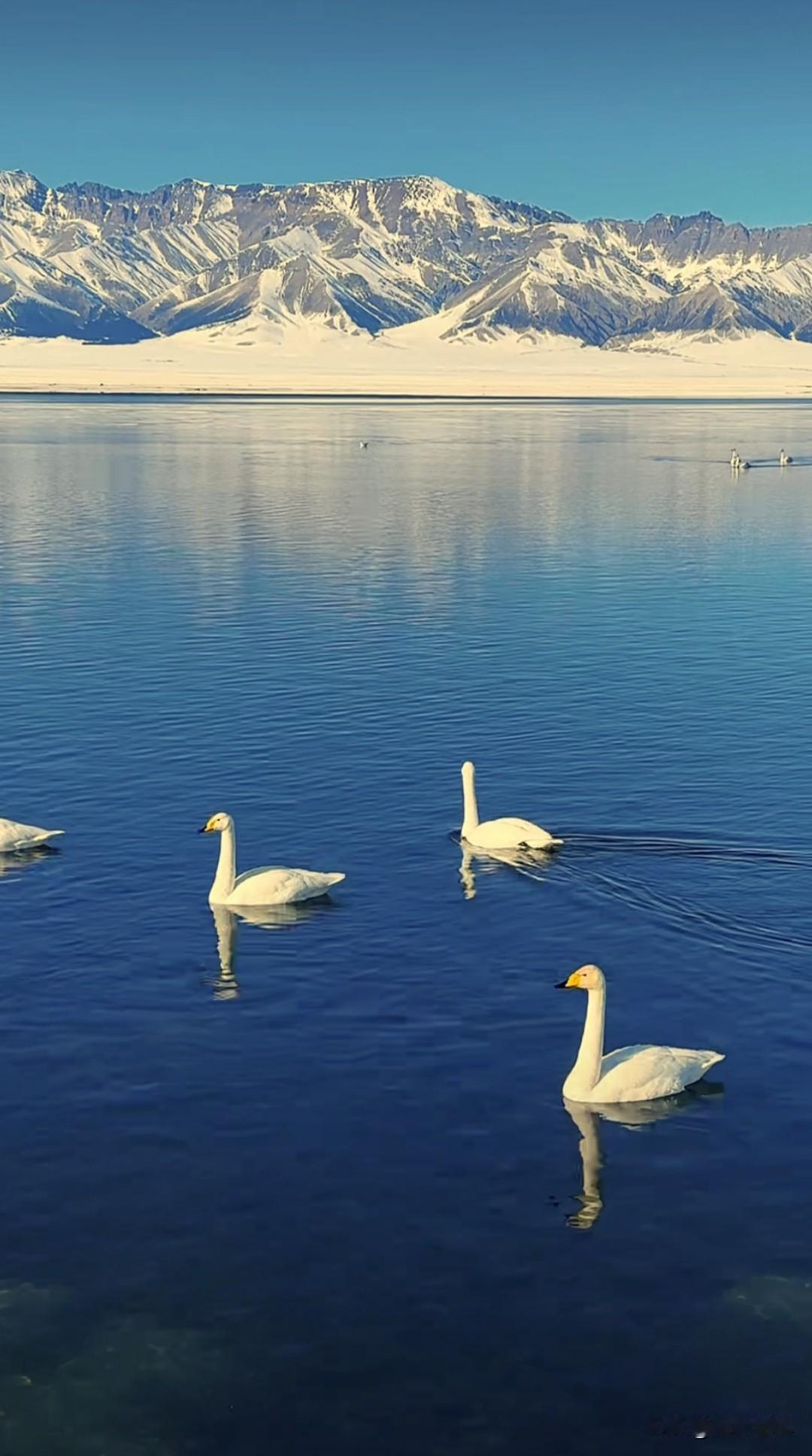 赛里木湖这么漂亮啊，地处新疆博尔塔拉蒙古自治州博乐市西南、北天山山脉中。
是新疆