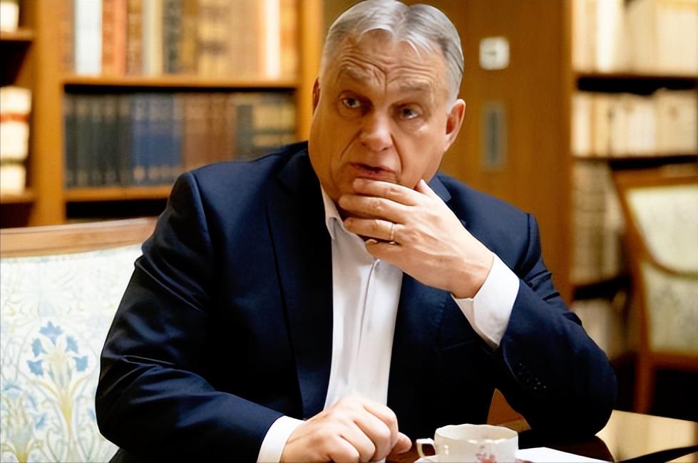 匈牙利总理欧尔班最近在反战集会上说的话让人后背发凉，欧盟对俄罗斯的制裁没伤到别人