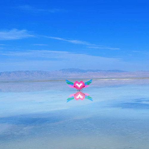 茶卡盐湖那个蓝白交织的“天空之镜”，本来是很多人心里的诗和远方，结果最近因为湖中