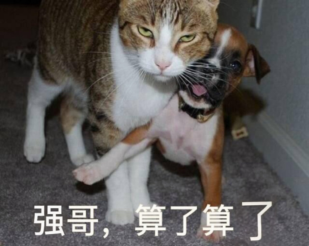 都是他们的错，惹怒我强哥电影空枪