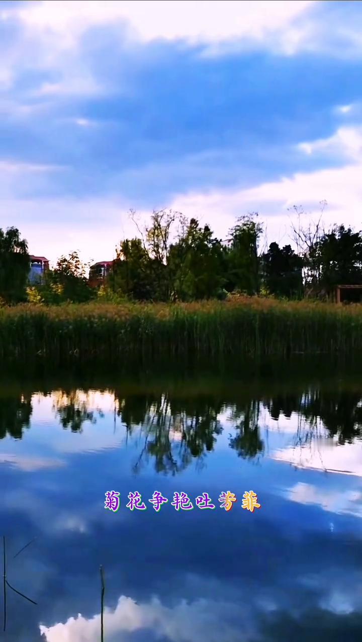 《秋高气爽，阳光明媚》。
秋高气爽，阳光明媚。天空湛蓝，白云飞。燕儿成对向南归，