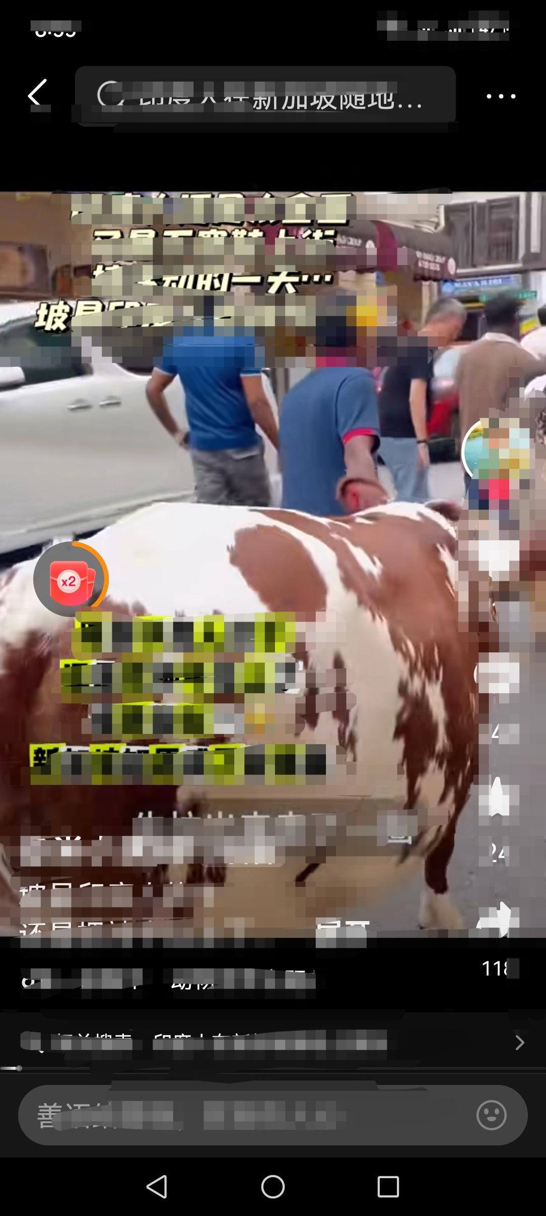 这是两幅画面，发生在同一个地方，却极具反差。
一边是：印度的神牛在新加坡街头闲庭