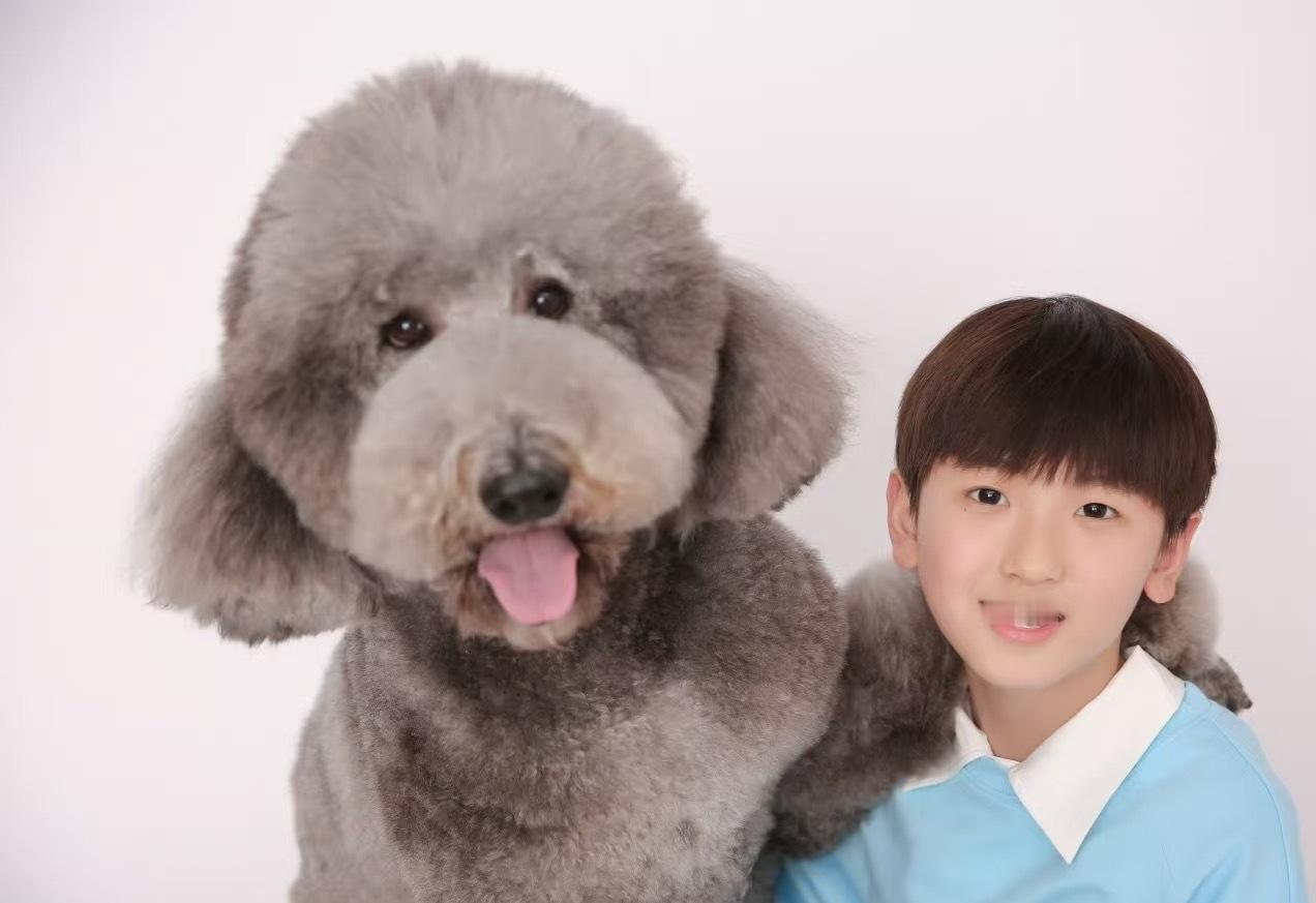 皮皮和奇奇在失望的看着你