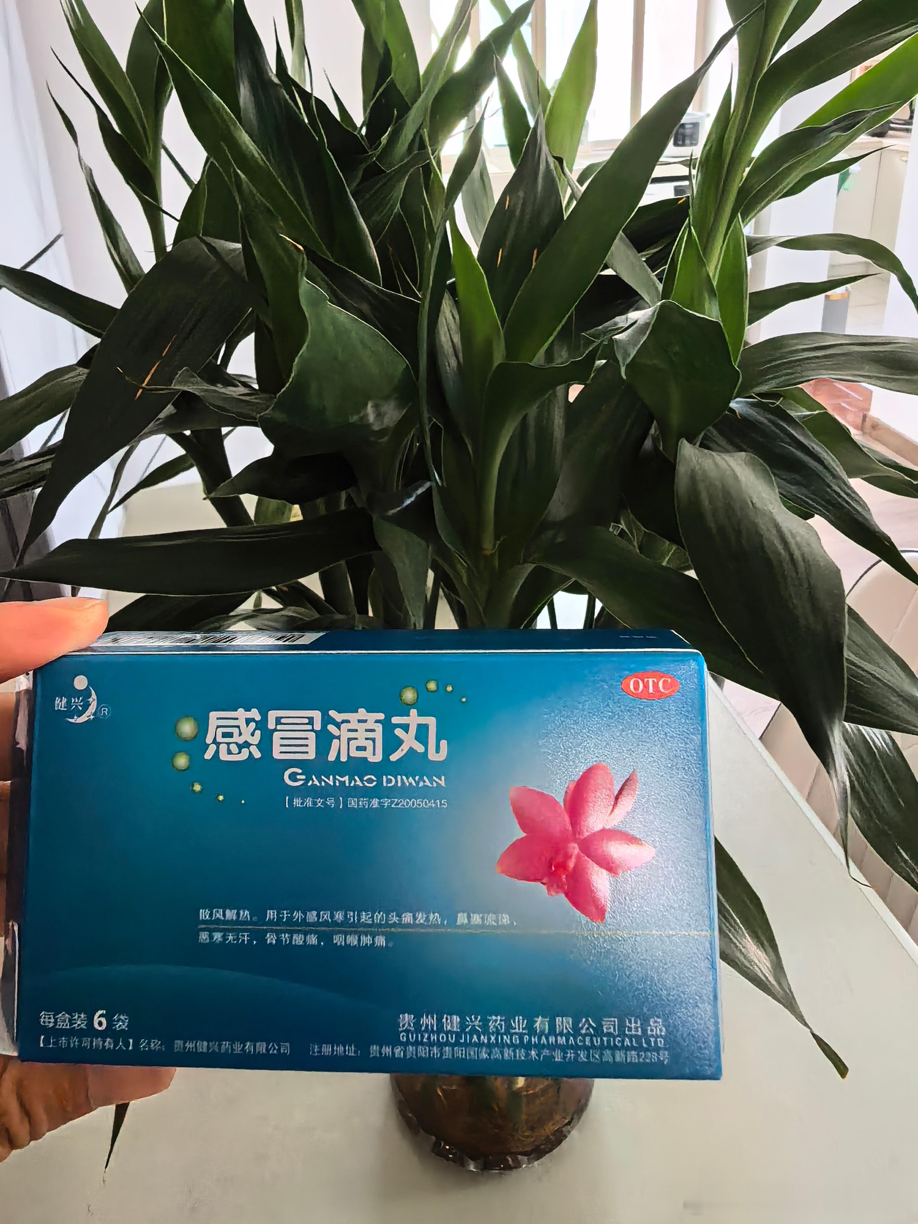 该说不说。感冒滴丸效果真的很夯。昨天大儿一把鼻涕一把泪的。鼻塞。流鼻涕。打喷嚏全