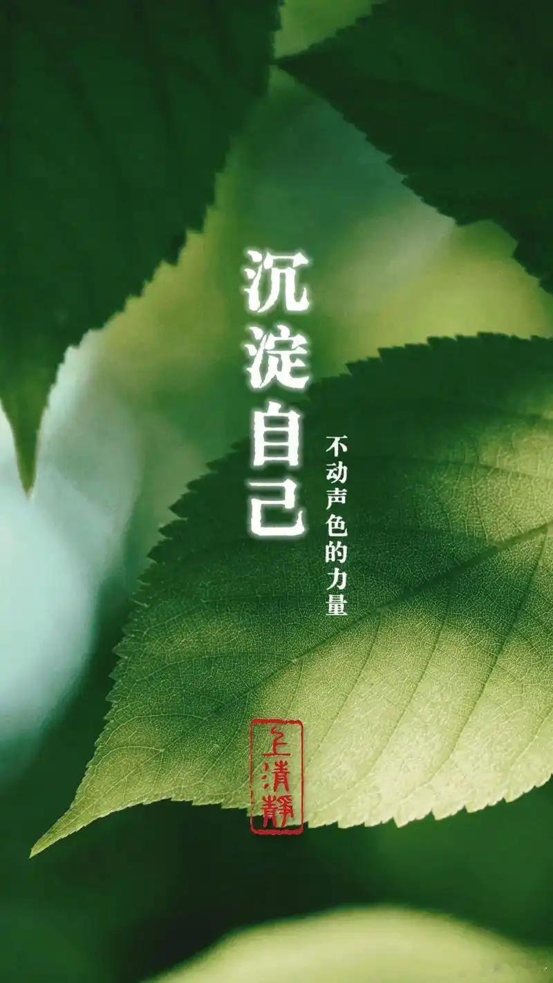 大家早！忽然发现，我们只要做看得懂的行情，其实就能大赚，反而追寻虚无缥缈的妖股会