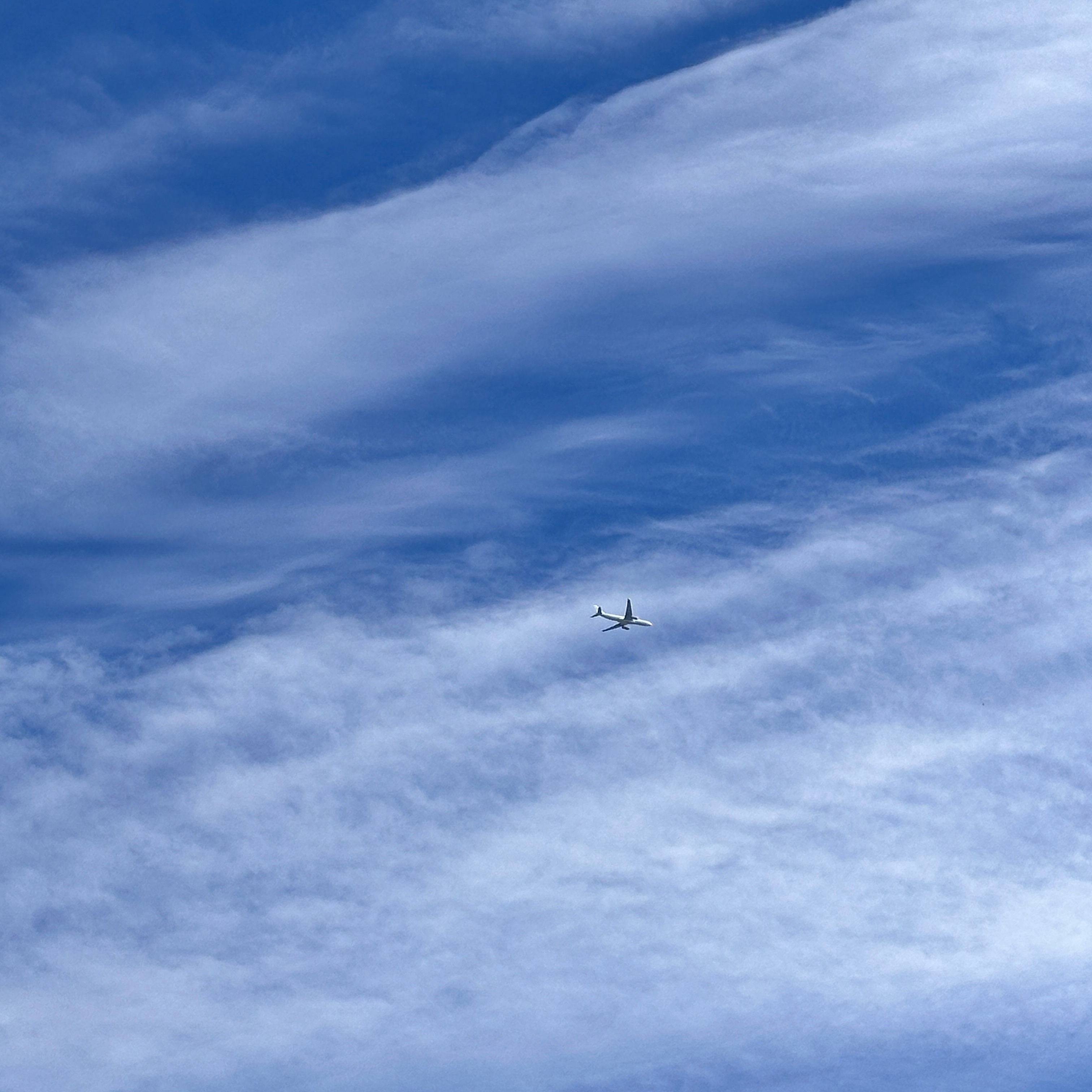 真爱粉在线飞向你