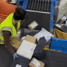 据说干这个工作，
一天能挣 200多？
而且还是日结？

有网友说
这活不是人干