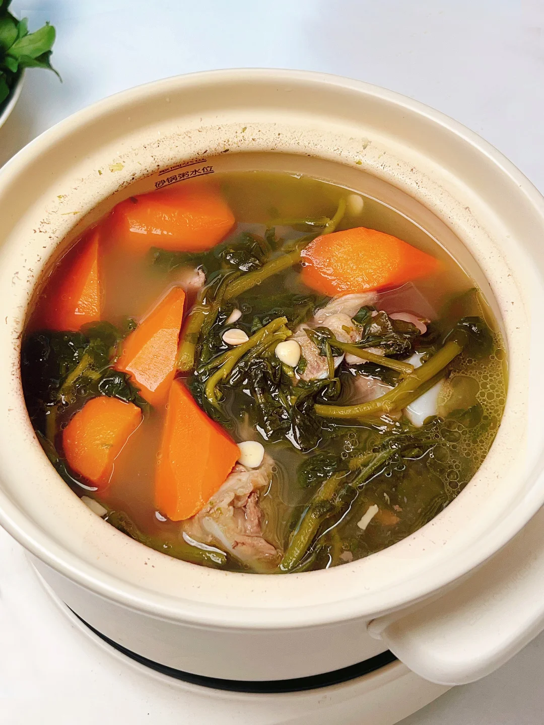 湾区人的白月光 汤鲜甘香 下火润肺化痰咳