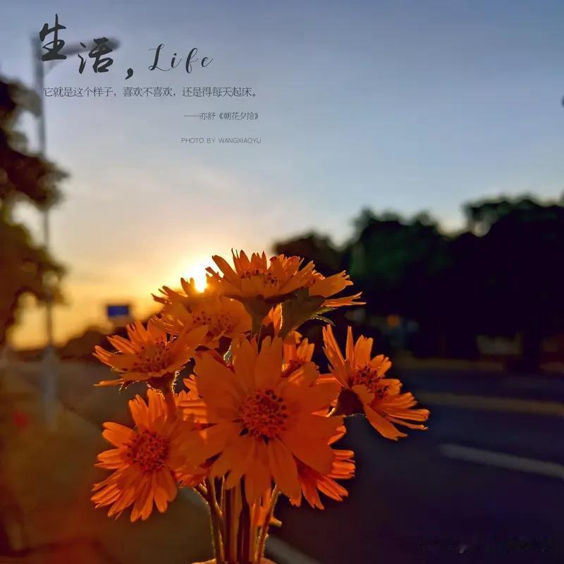 看淡人生,善待自己,你做到了吗?

曾经执着于"必须成功"，焦虑如影随形。后来明