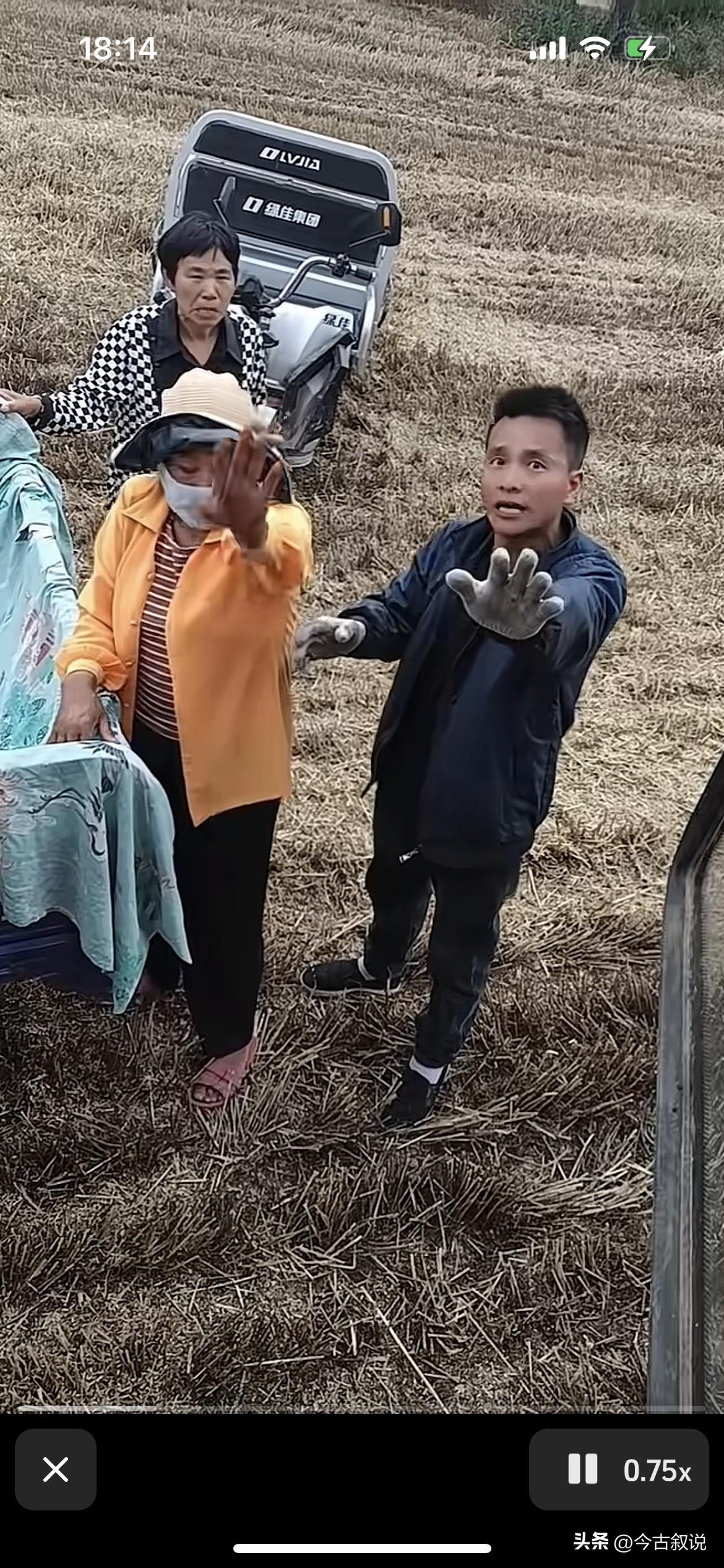河南麦地“斗殴”现场火了！巡检员冲来劝架，反手帮农户摁住了收割机师傅

眼下河南