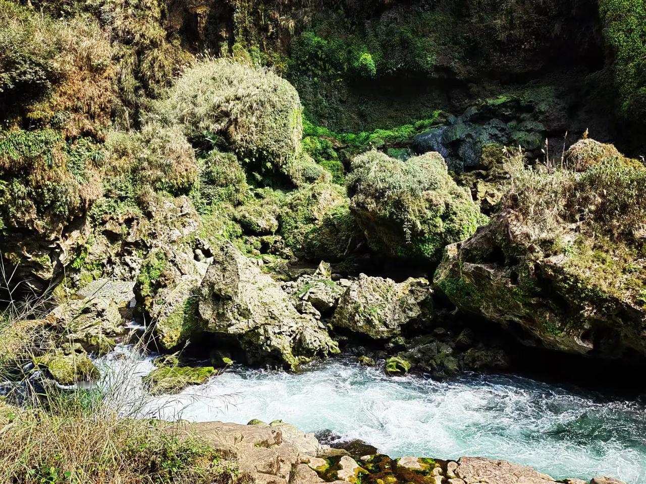 这能量
是守恒的
有起便有落
​……
​把每个因种好
浇水再施肥
总会结果
……