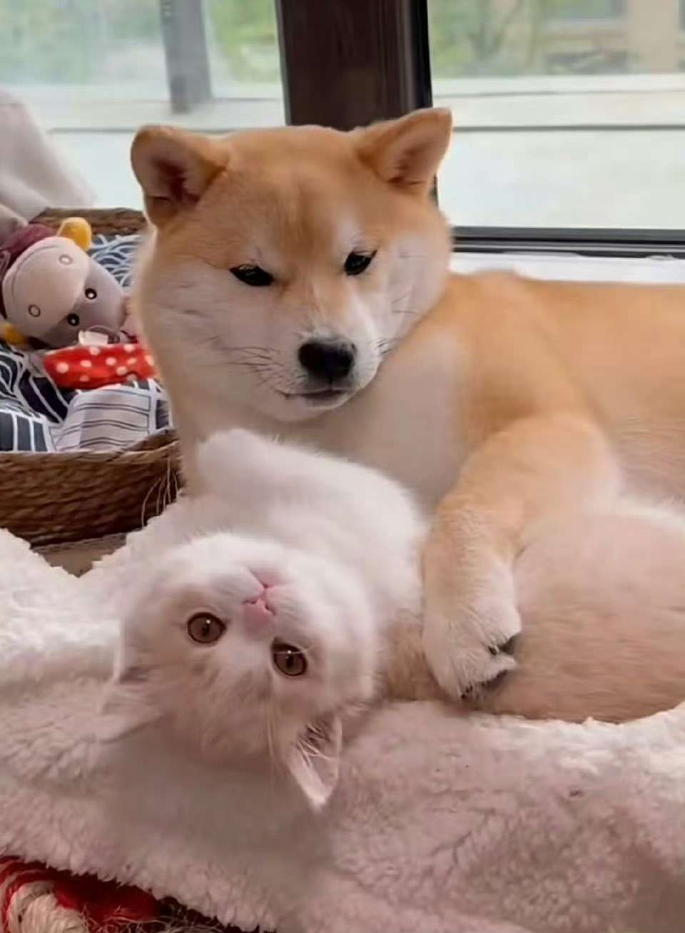 受不了了怎么一模一样