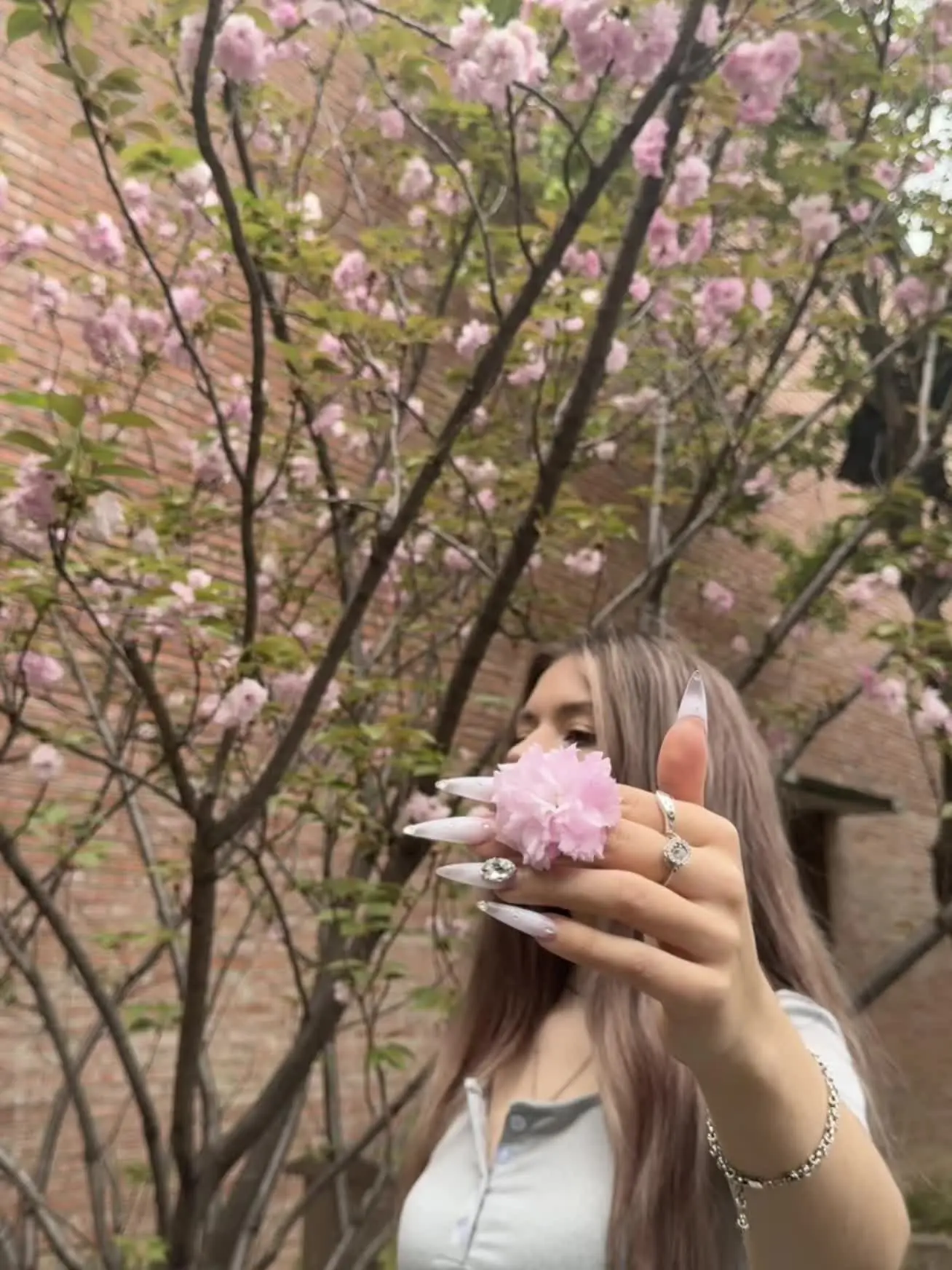 送你花花～ 🌸