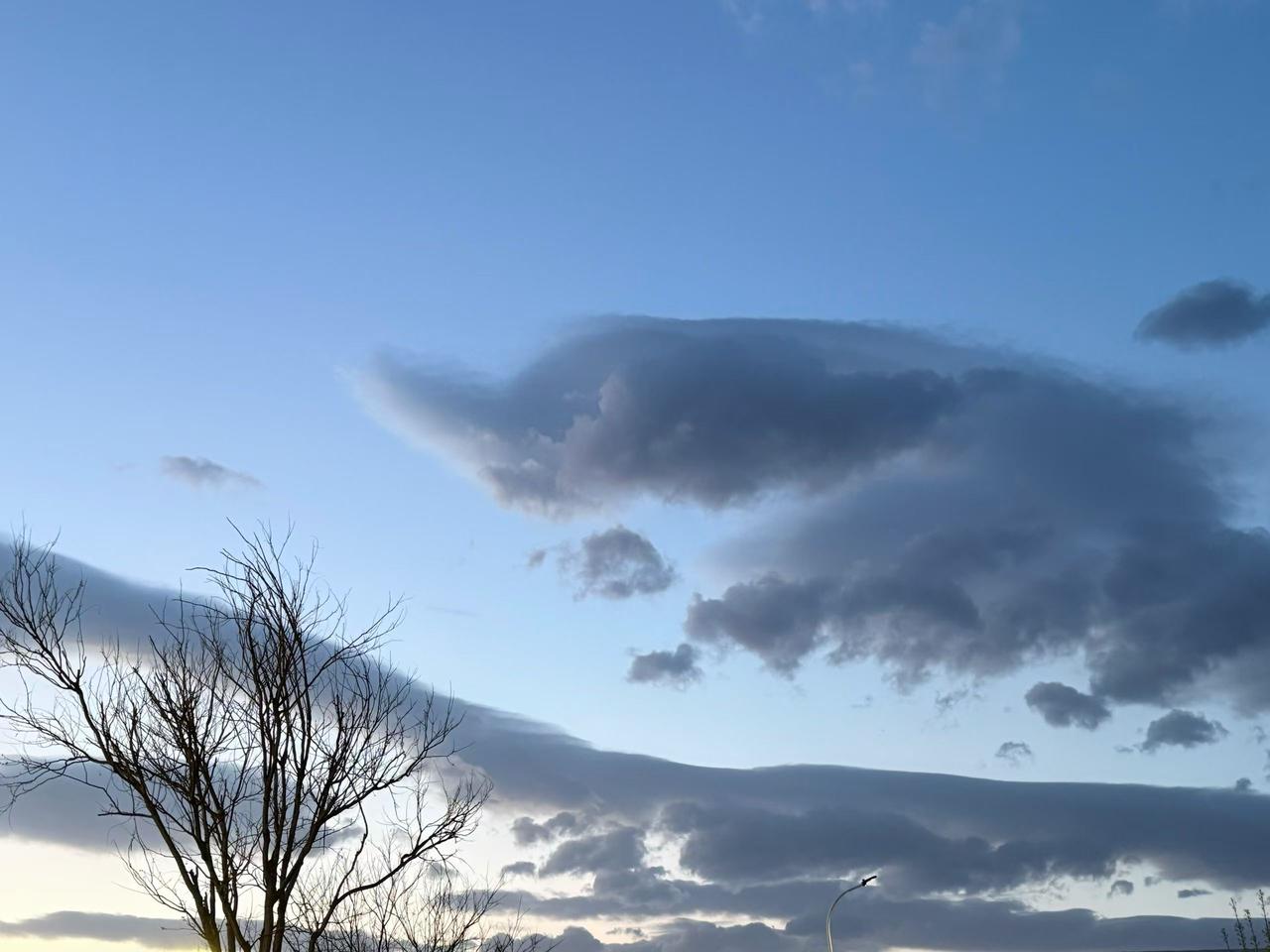 更远的北方还在下雪，冷空气一路南下，把咱们这儿吹得冷飕飕的。明明太阳亮堂堂、天空