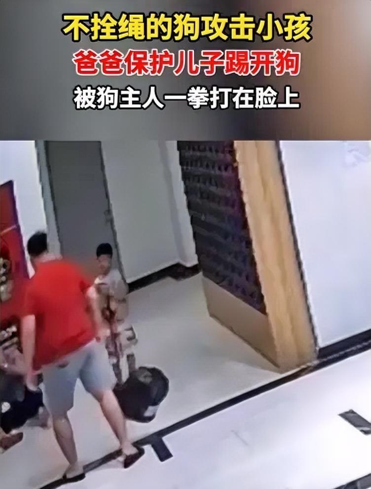 广东某小区，一35岁爸爸带娃回家，却遭到一只不拴绳的恶犬扑咬，孩子当场吓哭，爸爸