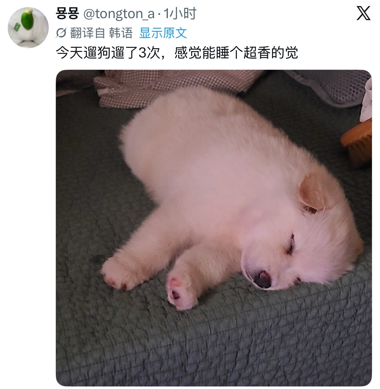 灿荣儿回去倒头就睡💤 