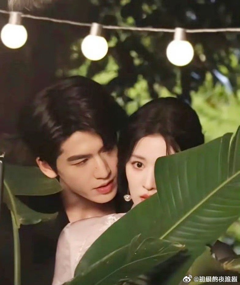 张凌赫丞磊强制爱如何 