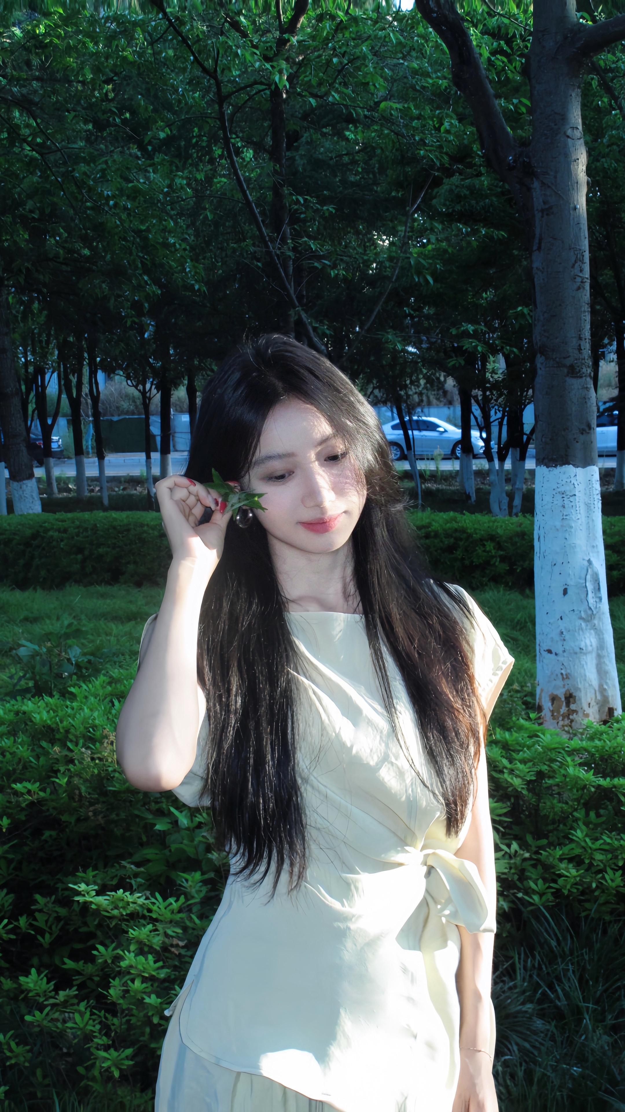 “杜松混合茉莉的风”