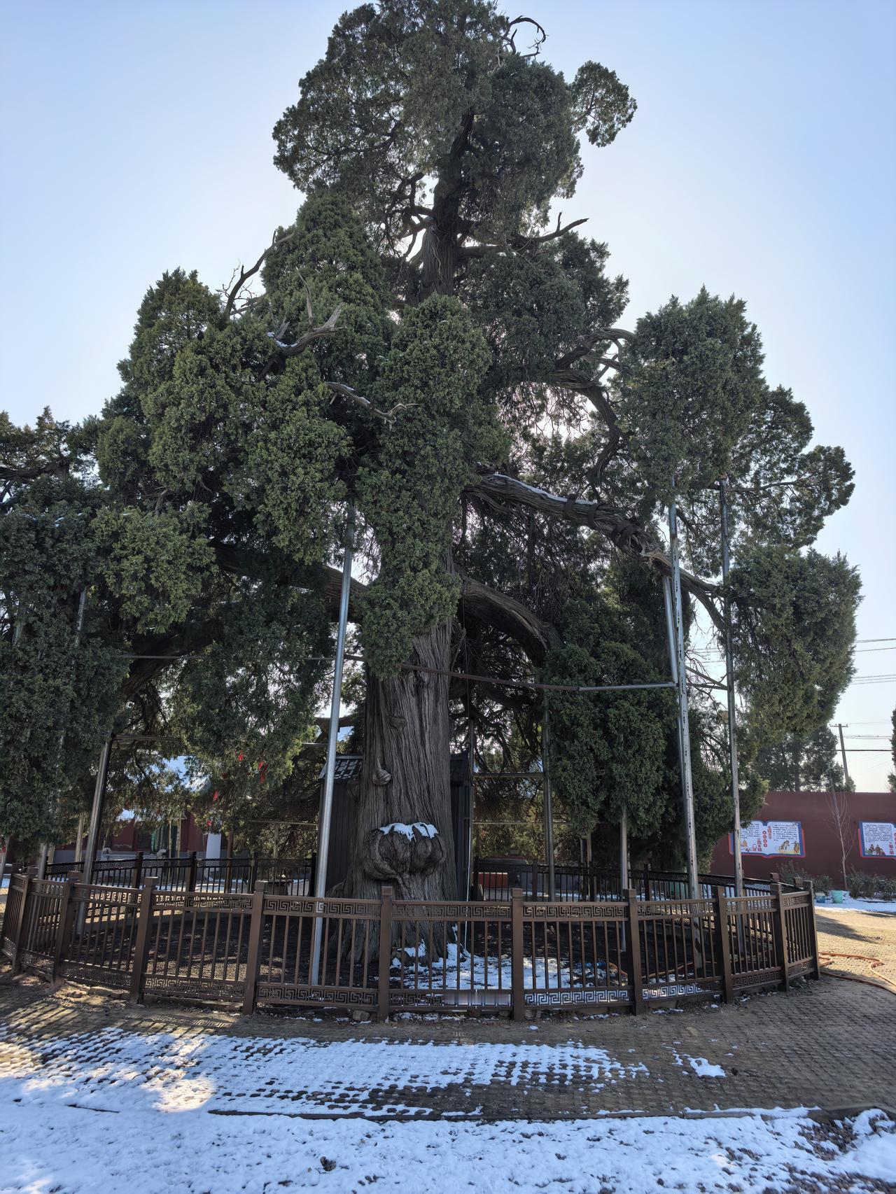 🌹5位顶级哲学家
5个顶级的能力

屏蔽力
生命力
理性力
内心主权力
孤独力