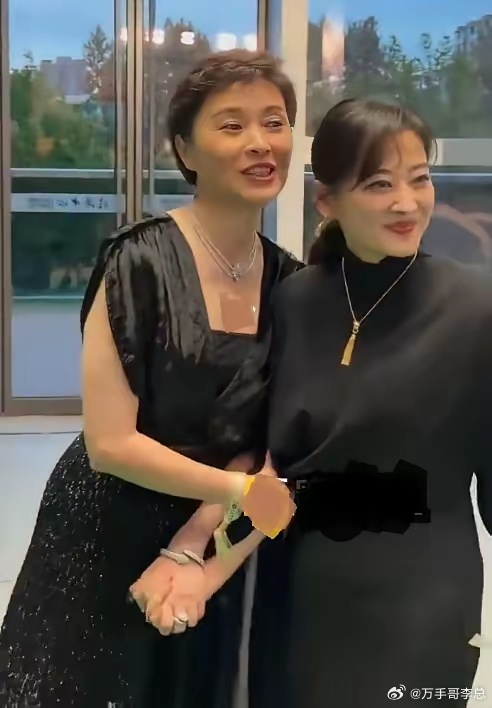 今天梅婷和吴越手牵手现身白玉兰奖颁奖典礼，两位看上去特别的有姐妹范儿，也显得好般